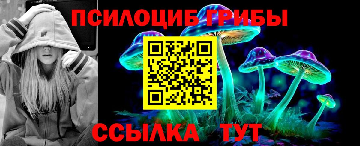 Псилоцибиновые грибы мицелий Шарыпово